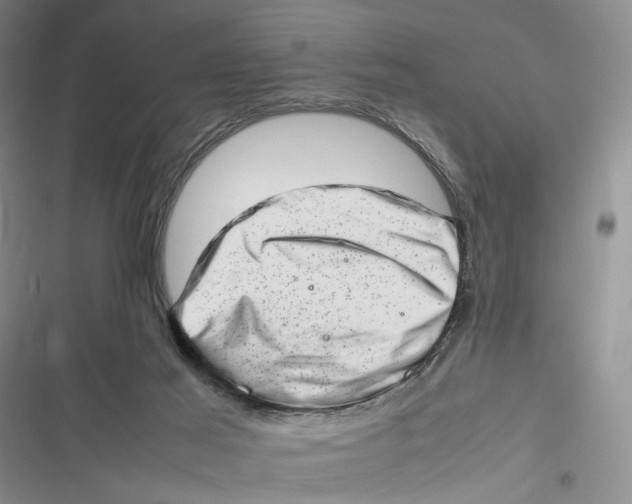 X0000116880021201001121332
