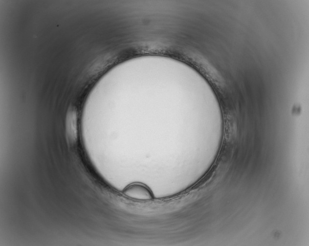 X0000116880022201001121332