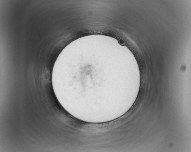 X0000116880025201001121332