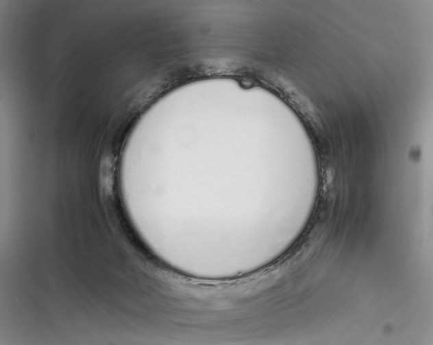 X0000116880026201001121332