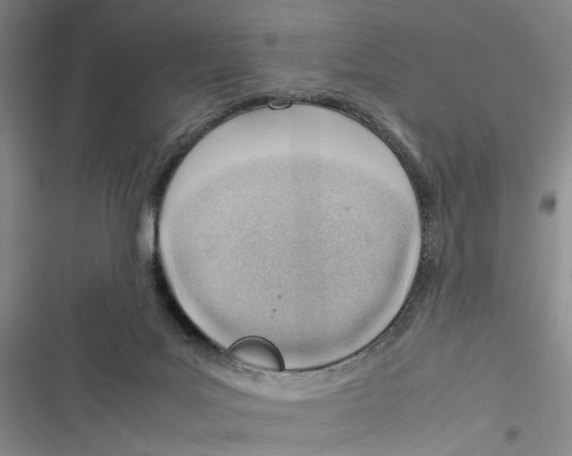 X0000116880027201001121332