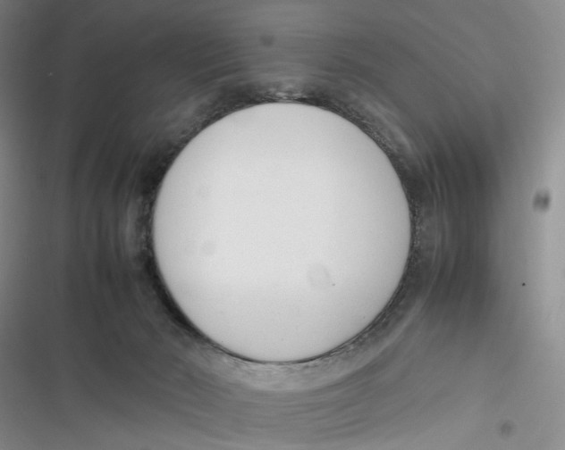 X0000116880030201001121332