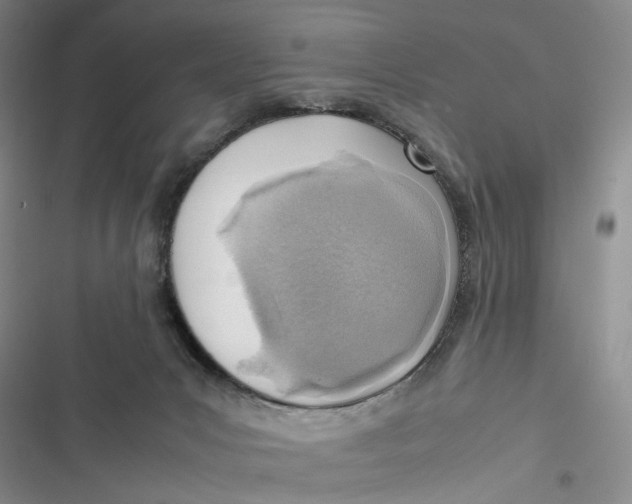 X0000116880031201001121332
