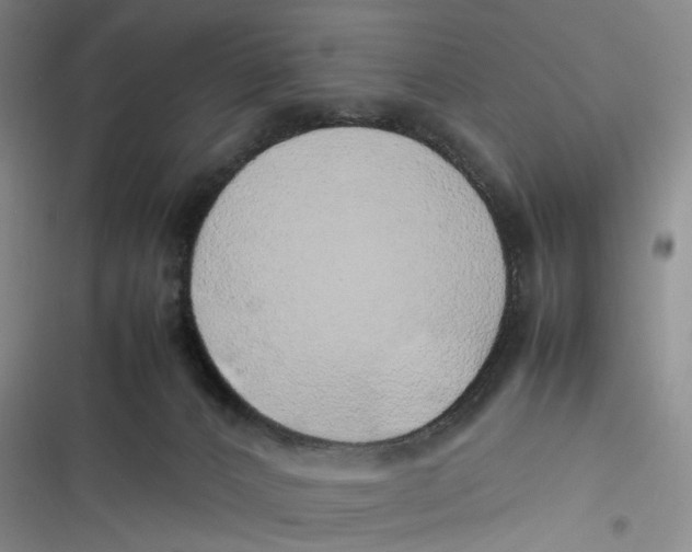 X0000116880032201001121332