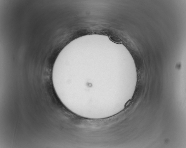 X0000116880033201001121332