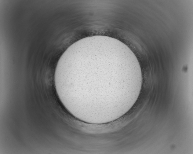 X0000116880034201001121332