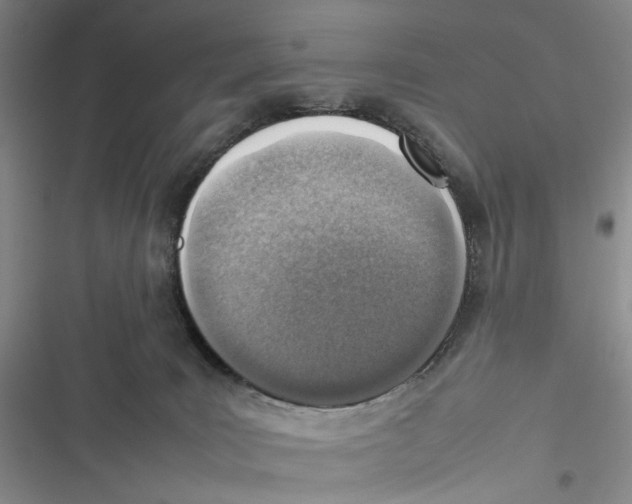 X0000116880035201001121332