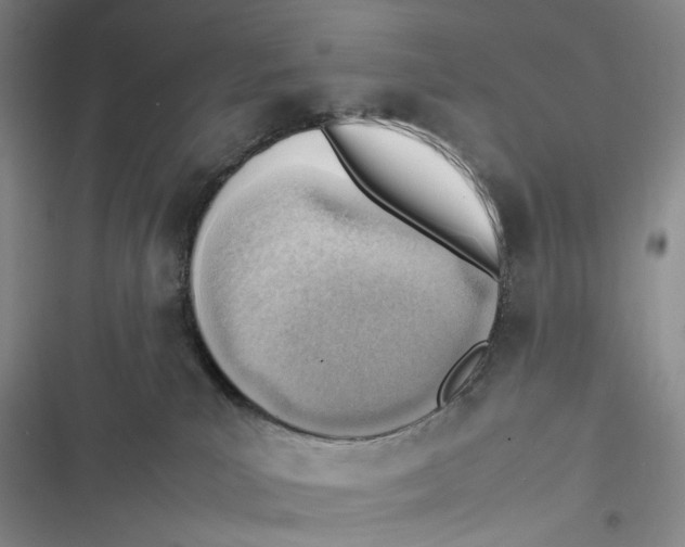 X0000116880039201001121332