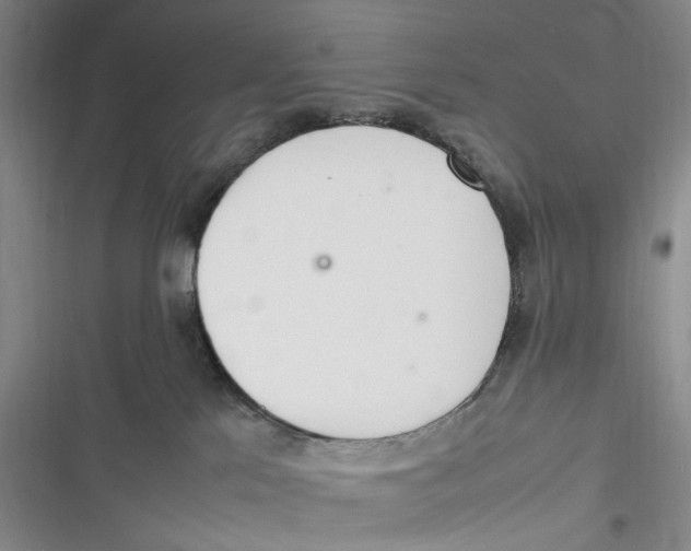 X0000116880041201001121332