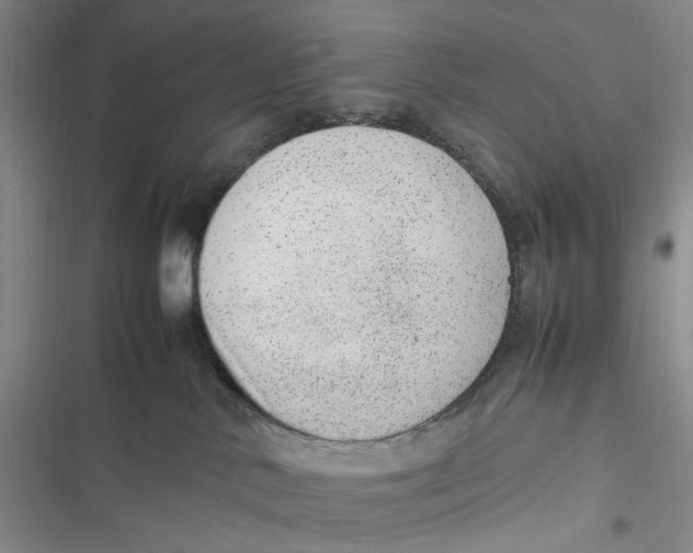 X0000116880042201001121332