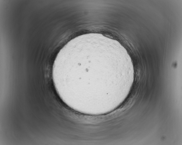 X0000116880044201001121332