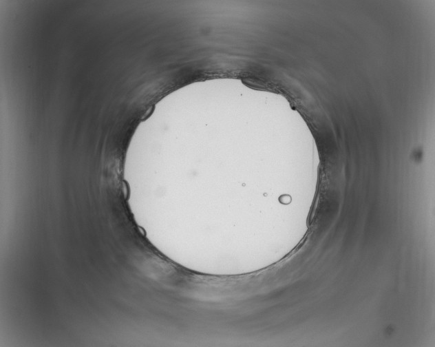 X0000116880045201001121332