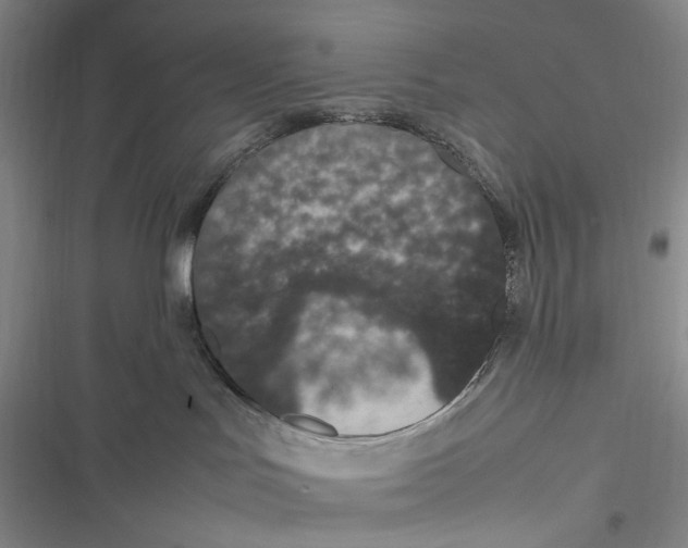 X0000116880047201001121332