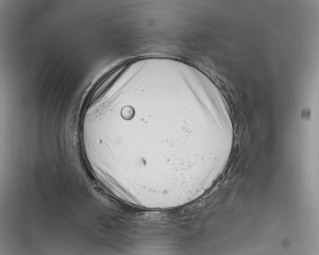 X0000116880050201001121331