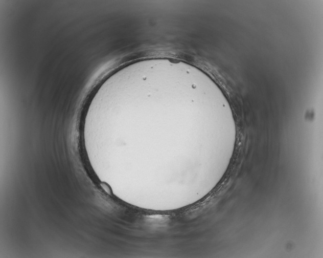 X0000116880053201001121331
