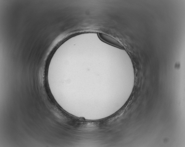 X0000116880056201001121331