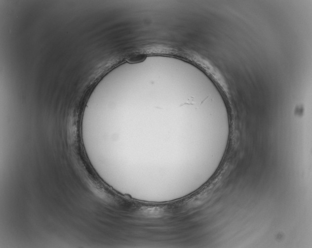 X0000116880057201001121331
