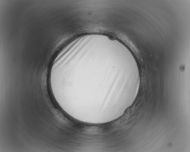 X0000116880058201001121331