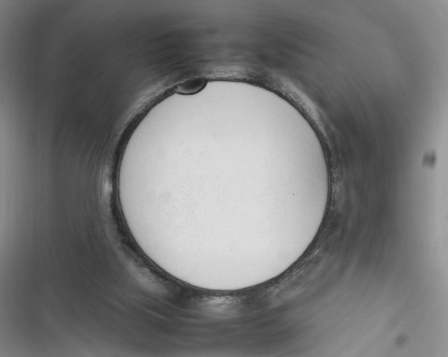 X0000116880059201001121331