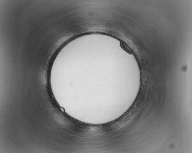 X0000116880060201001121331