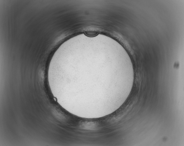 X0000116880063201001121331