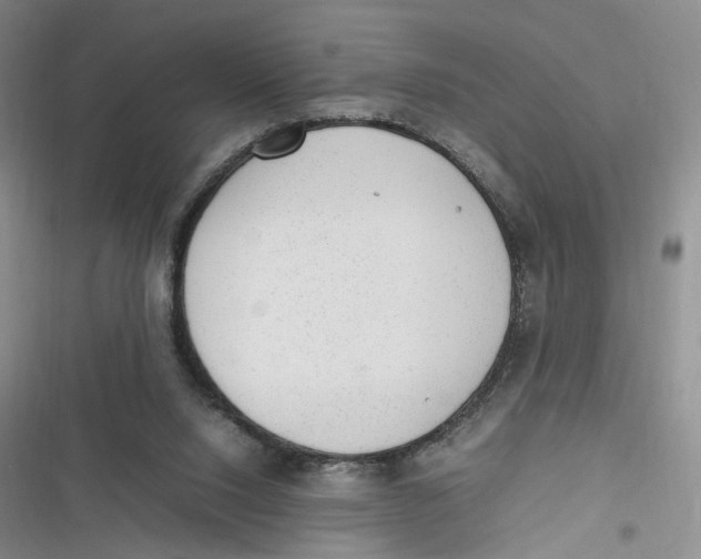 X0000116880064201001121331