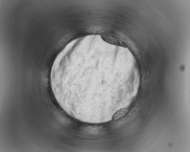 X0000116880065201001121331