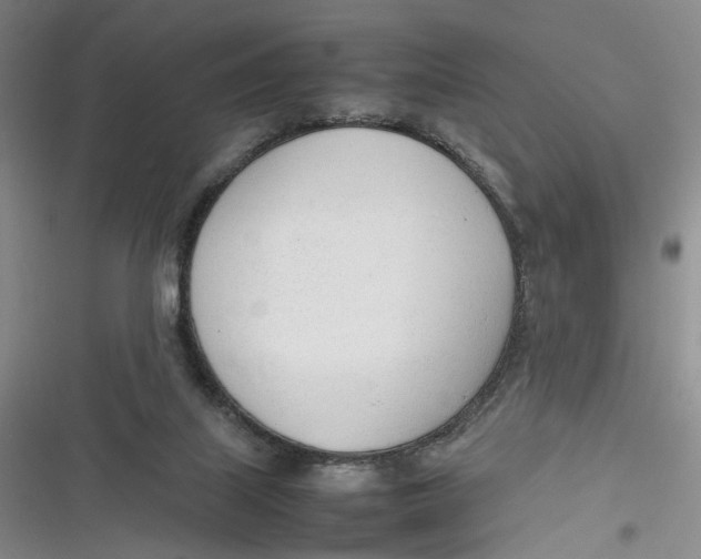 X0000116880067201001121331