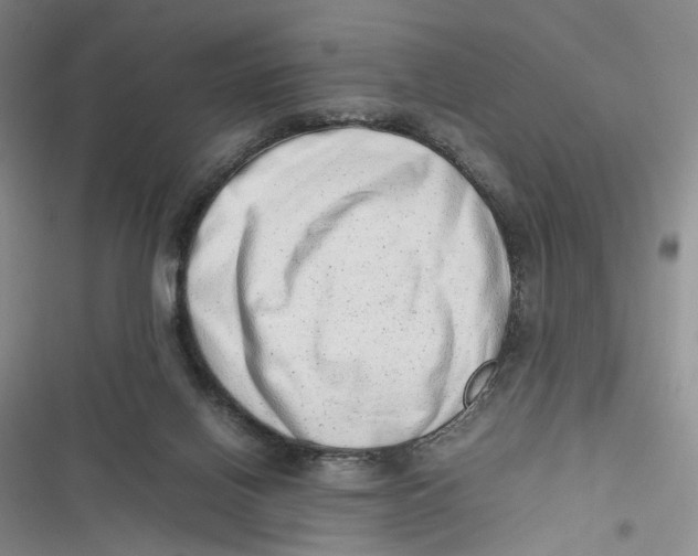 X0000116880070201001121331