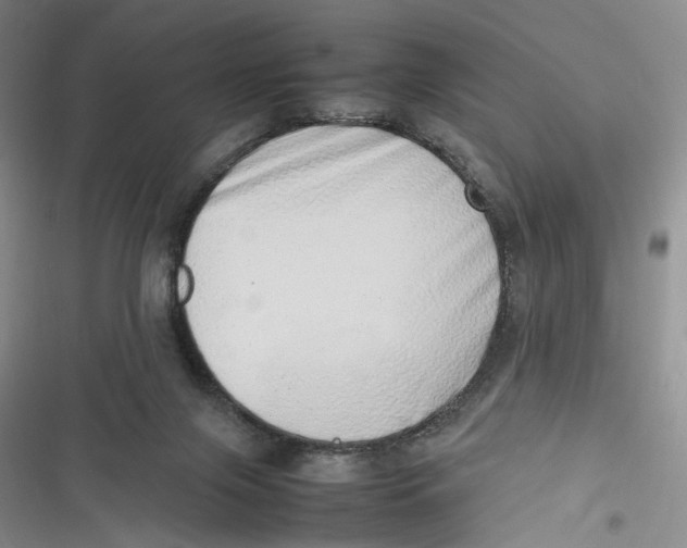 X0000116880071201001121331