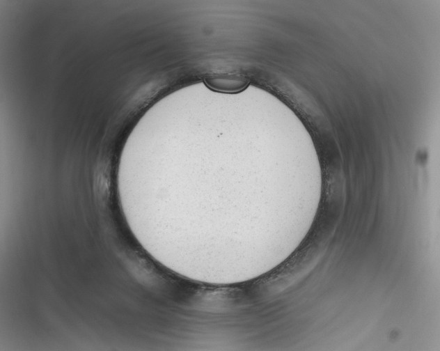 X0000116880072201001121331