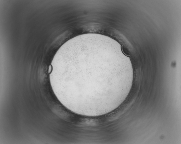 X0000116880073201001121331