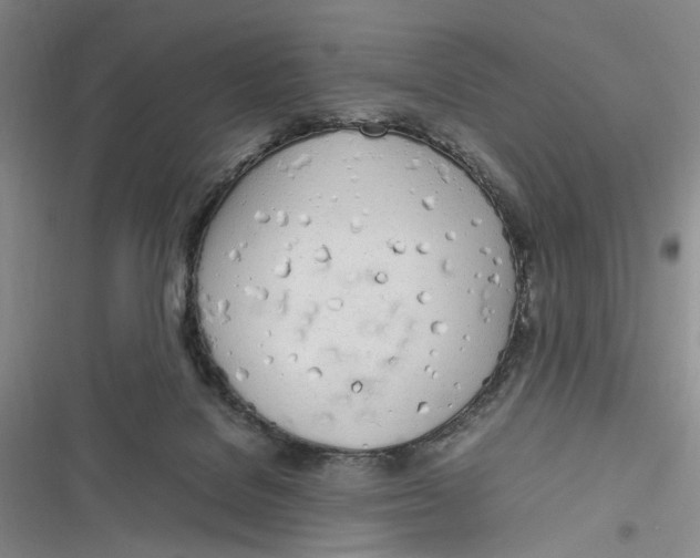 X0000116880076201001121331