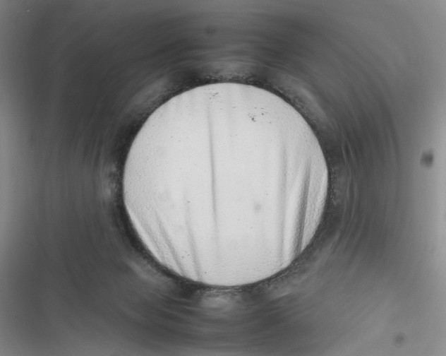 X0000116880077201001121331