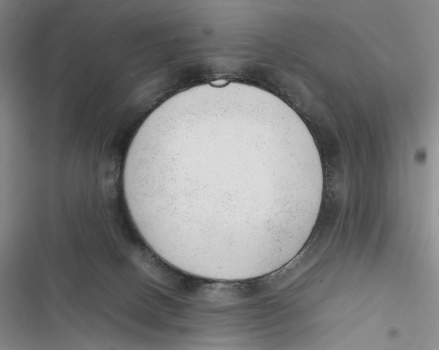 X0000116880082201001121331