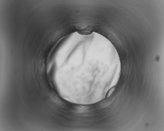 X0000116880085201001121331