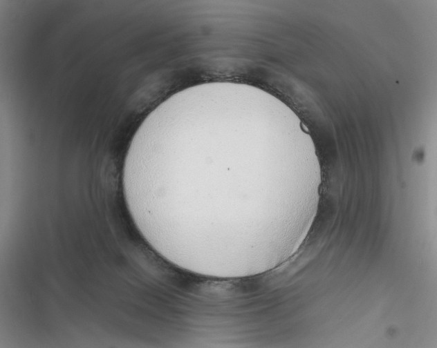 X0000116880086201001121331