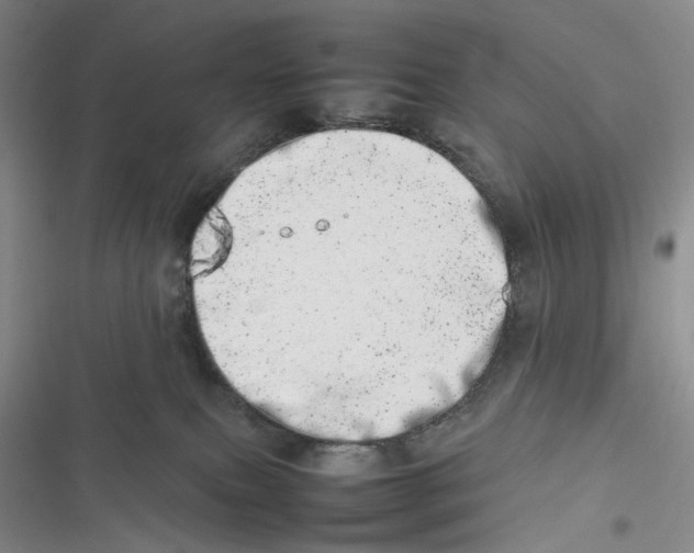 X0000116880087201001121331