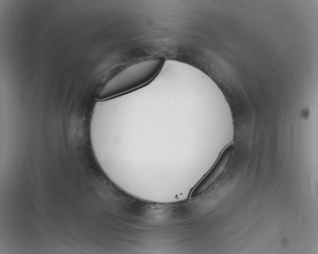 X0000116880088201001121331