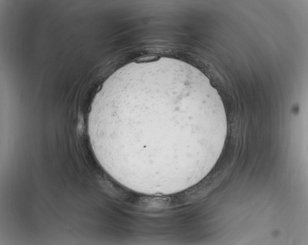 X0000116880089201001121331