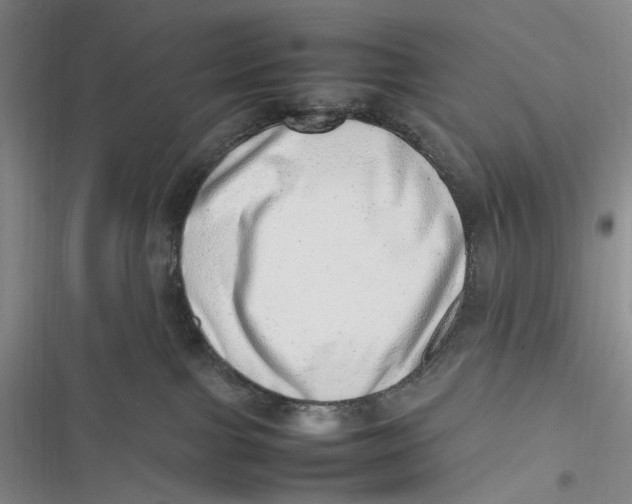 X0000116880091201001121331