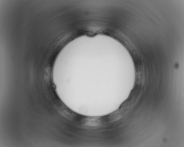 X0000116880093201001121331