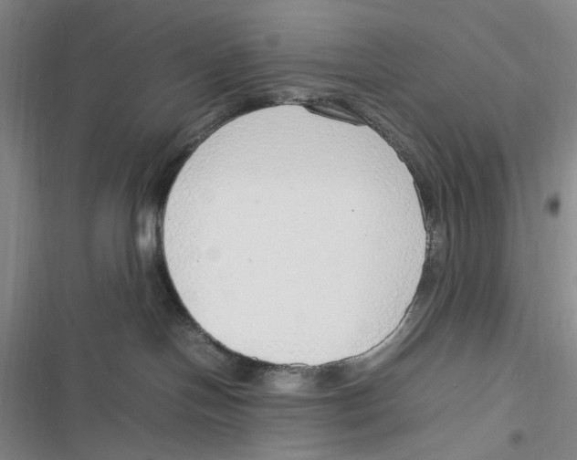 X0000116880094201001121331