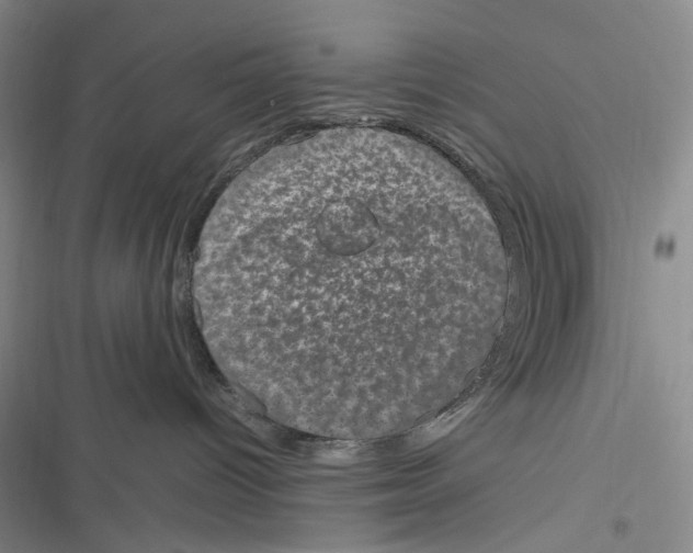 X0000116880096201001121331