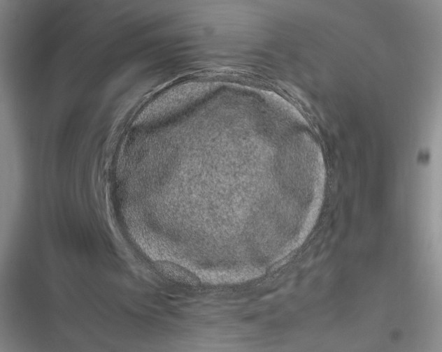 X0000116880097201001121331