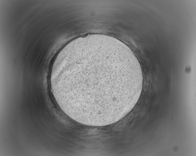 X0000116880098201001121331