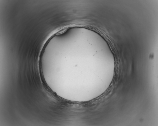 X0000116880100201001121331