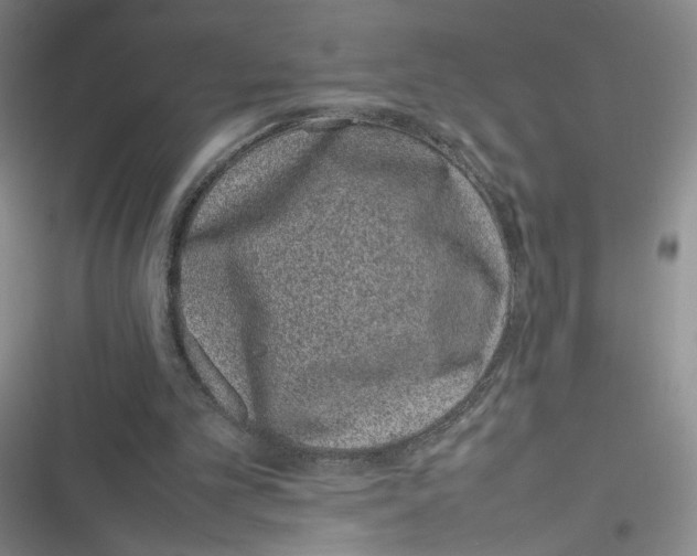 X0000116880101201001121331