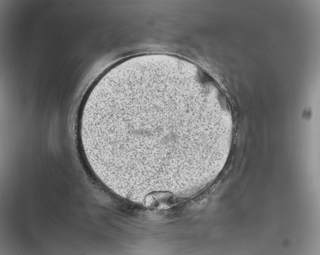 X0000116880103201001121331