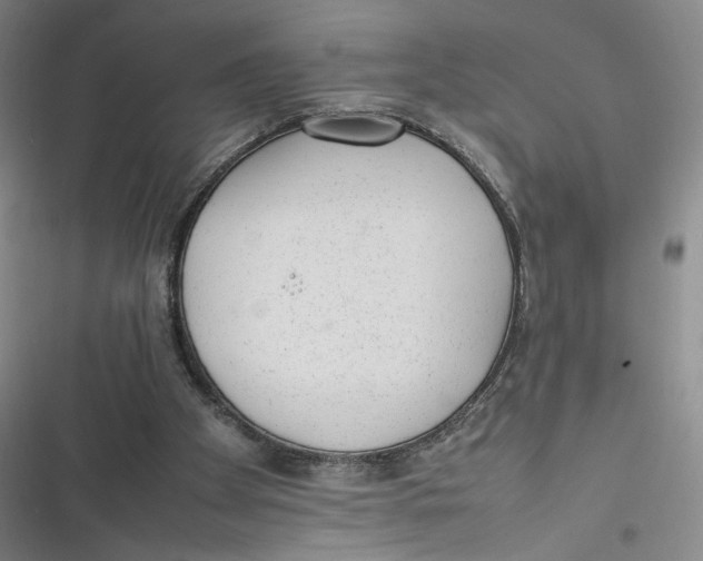 X0000116880105201001121331